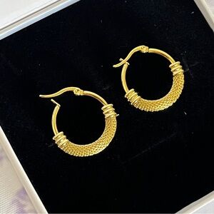 18K Gold Plated Stainless Steel Muse Textured Hoop Earrings